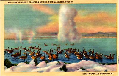 Geyser Old Perpetual erupting in Lakeview at Hunter's Hot Springs