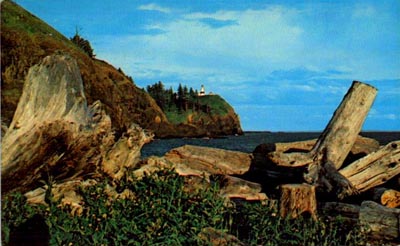 Postcard image showing a pile of driftwood with the Cape Disappointment Lighthouse in the background.